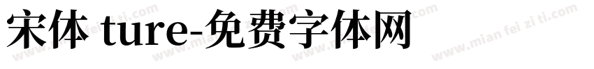 宋体 ture字体转换